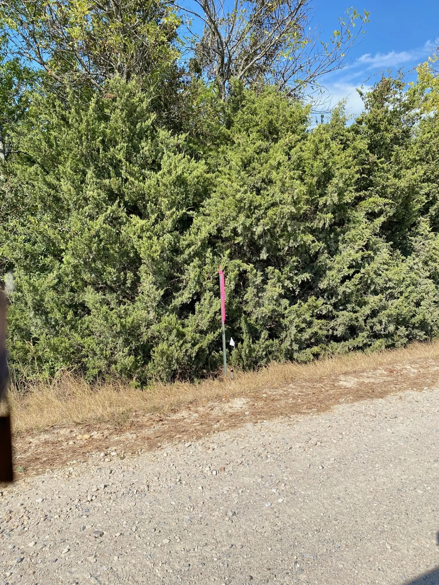 Unimproved Land For Sale in Hunt County , 7720 County Road 1135, Leonard, Texas 75452, 0, 0, Garage spaces, 0 Sqft, built in 0, mls#21386235, Real Estate Agent in Leonard, Homes For Sale in Hunt county, Homes For Sale in Leonard, Realtor in Leonard Texas, Real Estate Brokerage Independent Realty Texas, Luminita Cordes Realtor