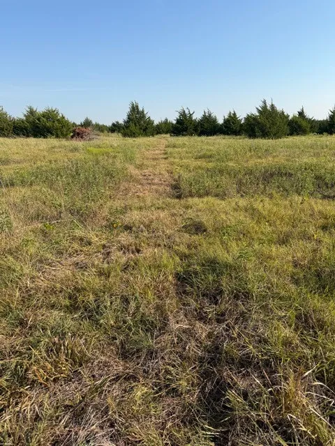 Unimproved Land For Sale in Hunt County , 7720 County Road 1135, Leonard, Texas 75452, 0, 0, Garage spaces, 0 Sqft, built in 0, mls#21386235, Real Estate Agent in Leonard, Homes For Sale in Hunt county, Homes For Sale in Leonard, Realtor in Leonard Texas, Real Estate Brokerage Independent Realty Texas, Luminita Cordes Realtor