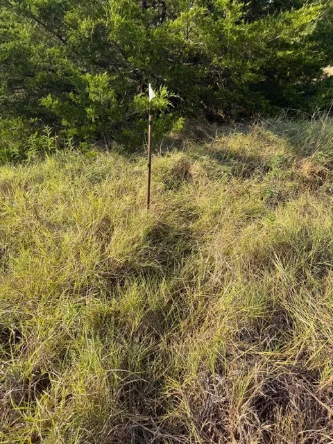 Unimproved Land For Sale in Hunt County , 7720 County Road 1135, Leonard, Texas 75452, 0, 0, Garage spaces, 0 Sqft, built in 0, mls#21386235, Real Estate Agent in Leonard, Homes For Sale in Hunt county, Homes For Sale in Leonard, Realtor in Leonard Texas, Real Estate Brokerage Independent Realty Texas, Luminita Cordes Realtor