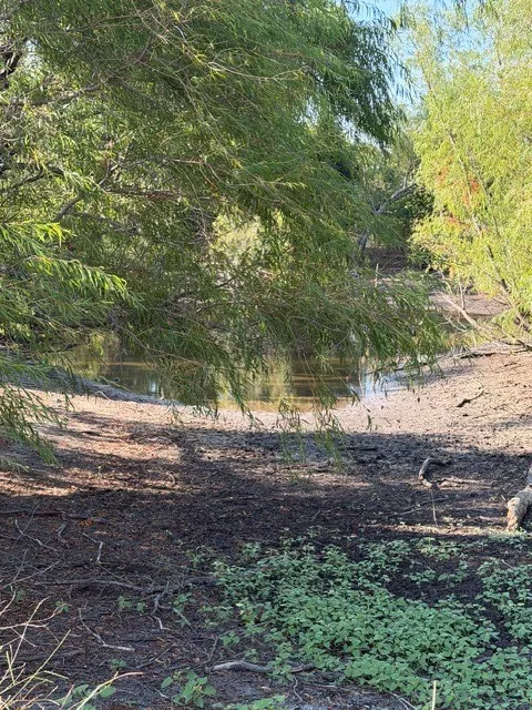 Pond