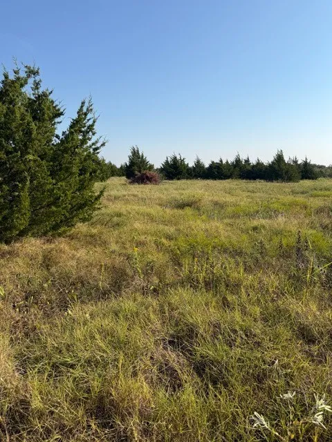 Unimproved Land For Sale in Hunt County , 7720 County Road 1135, Leonard, Texas 75452, 0, 0, Garage spaces, 0 Sqft, built in 0, mls#21386235, Real Estate Agent in Leonard, Homes For Sale in Hunt county, Homes For Sale in Leonard, Realtor in Leonard Texas, Real Estate Brokerage Independent Realty Texas, Luminita Cordes Realtor