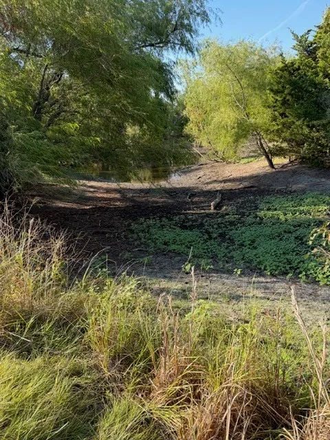 Unimproved Land For Sale in Hunt County , 7720 County Road 1135, Leonard, Texas 75452, 0, 0, Garage spaces, 0 Sqft, built in 0, mls#21386235, Real Estate Agent in Leonard, Homes For Sale in Hunt county, Homes For Sale in Leonard, Realtor in Leonard Texas, Real Estate Brokerage Independent Realty Texas, Luminita Cordes Realtor