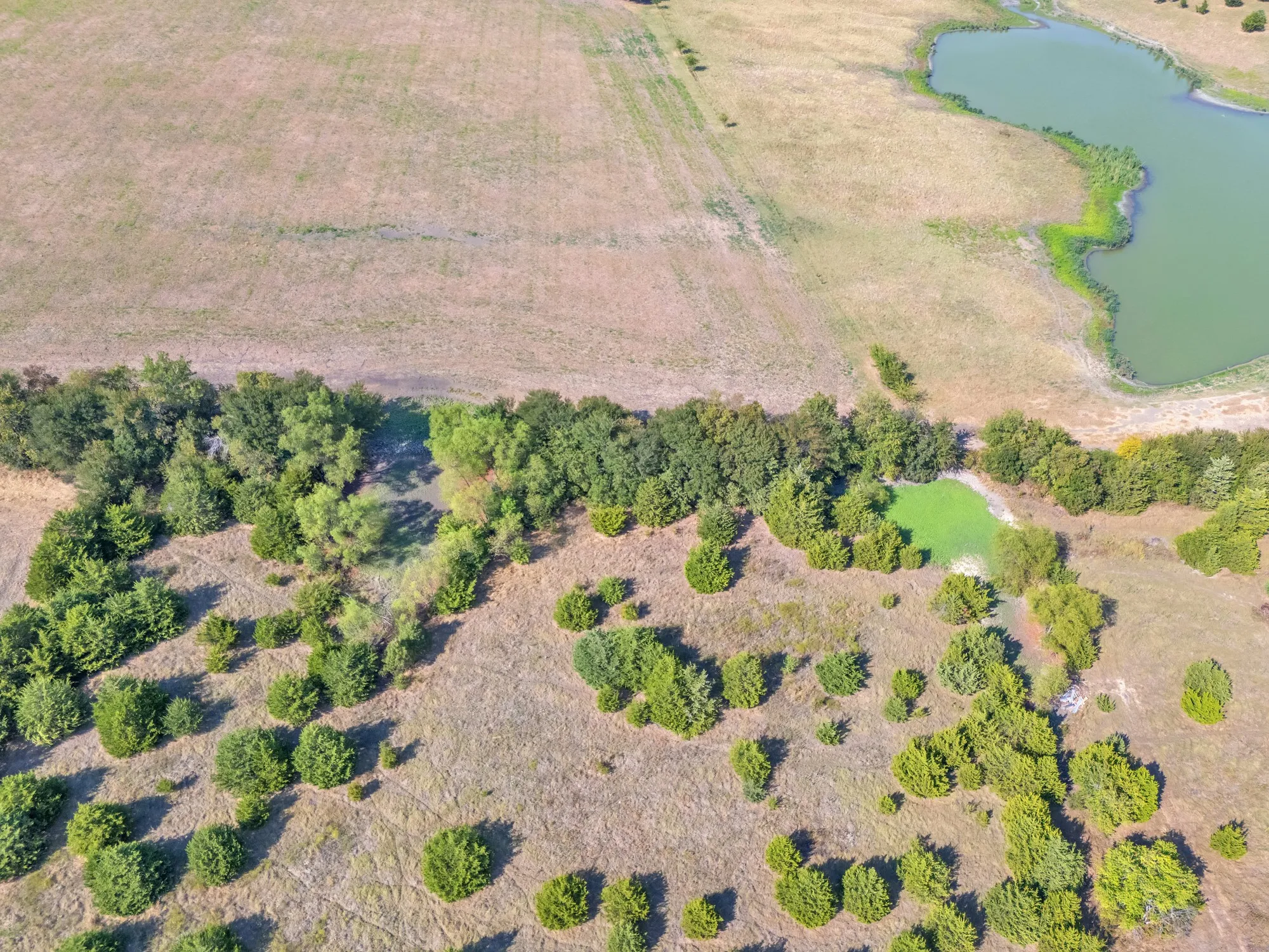 Unimproved Land For Sale in Hunt County , 7720 County Road 1135, Leonard, Texas 75452, 0, 0, Garage spaces, 0 Sqft, built in 0, mls#21386235, Real Estate Agent in Leonard, Homes For Sale in Hunt county, Homes For Sale in Leonard, Realtor in Leonard Texas, Real Estate Brokerage Independent Realty Texas, Luminita Cordes Realtor