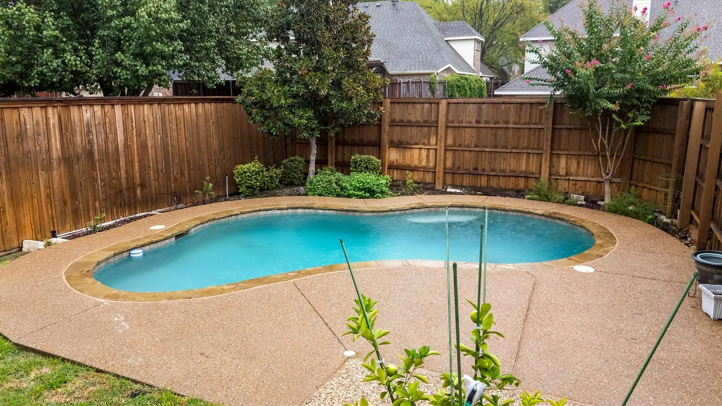 Free-form swimming pool with a textured concrete surround, bordered by a privacy fence and mature landscaping