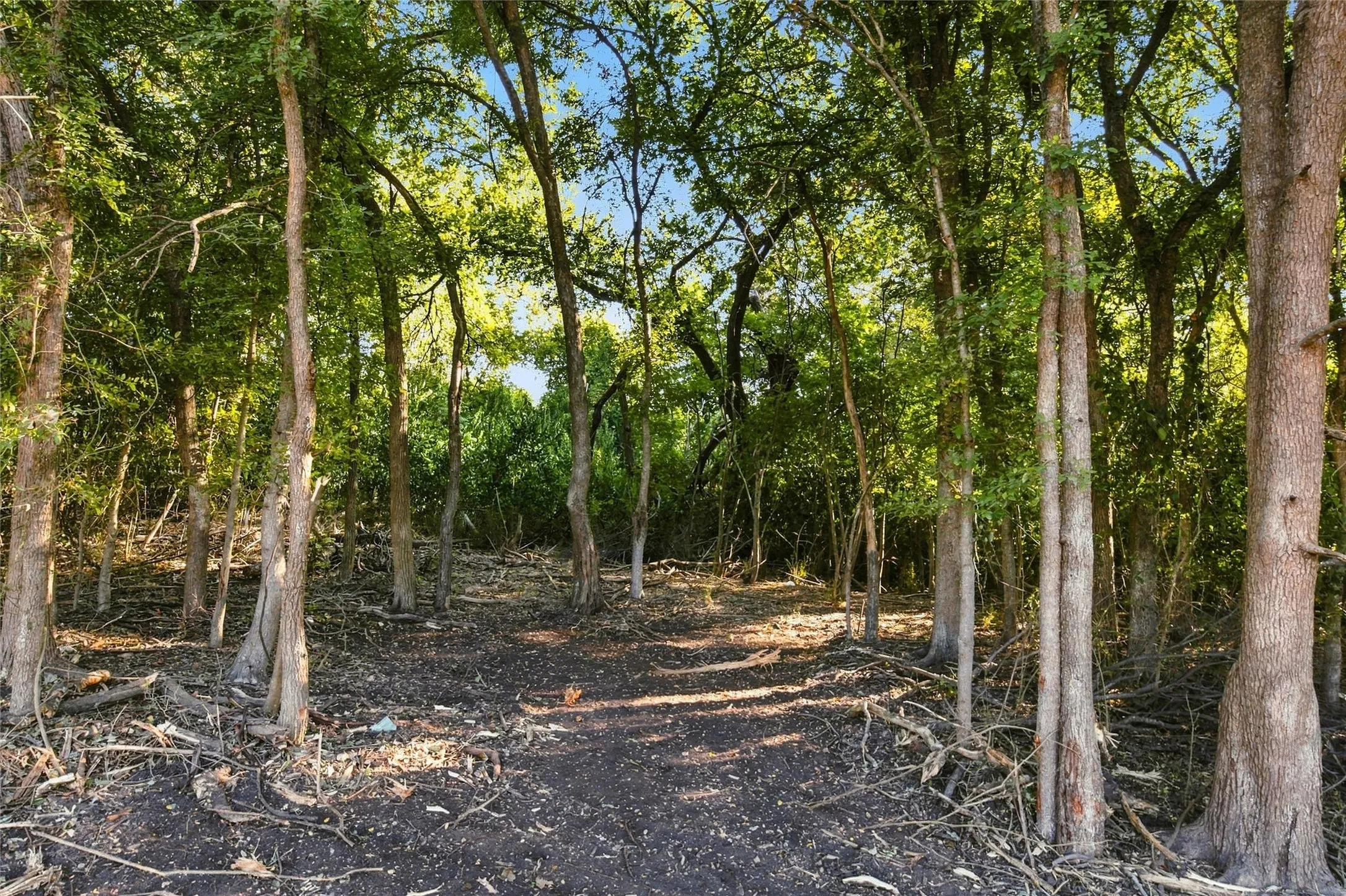 Improved Land For Sale in Bosque County , 1401 Park Street, Clifton, Texas 76634, 0, 0, Garage spaces, 0 Sqft, built in 0, mls#21384488, Real Estate Agent in Clifton, Homes For Sale in Bosque county, Homes For Sale in Clifton, Realtor in Clifton Texas, Real Estate Brokerage Independent Realty Texas, Luminita Cordes Realtor