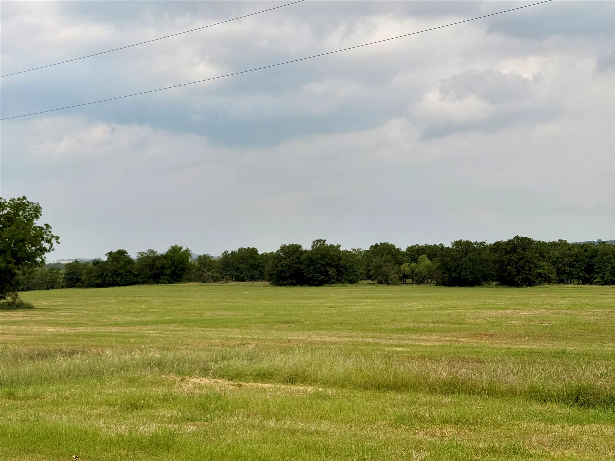 Coastal Pasture