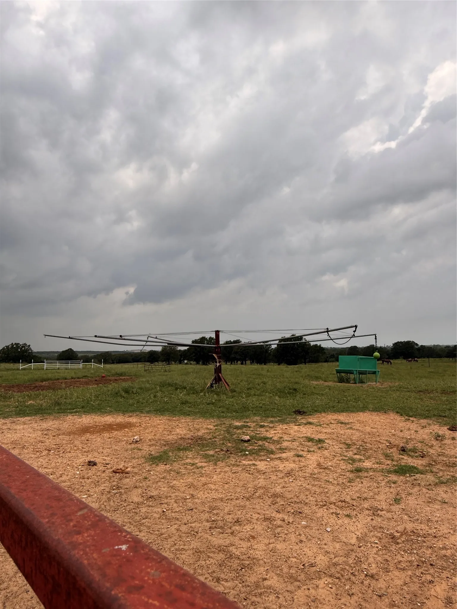 Equestrian Walker