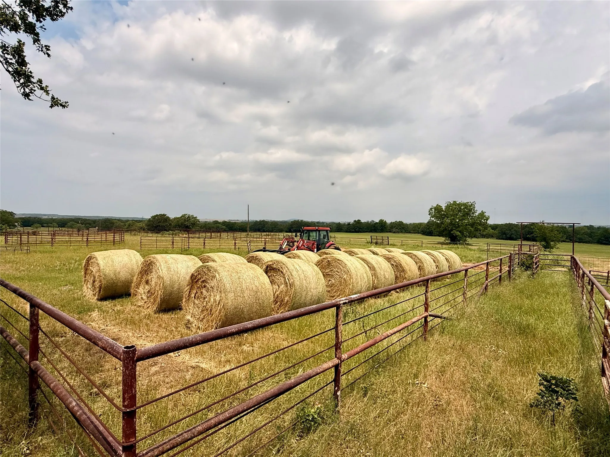 Productive Coastal Pastures