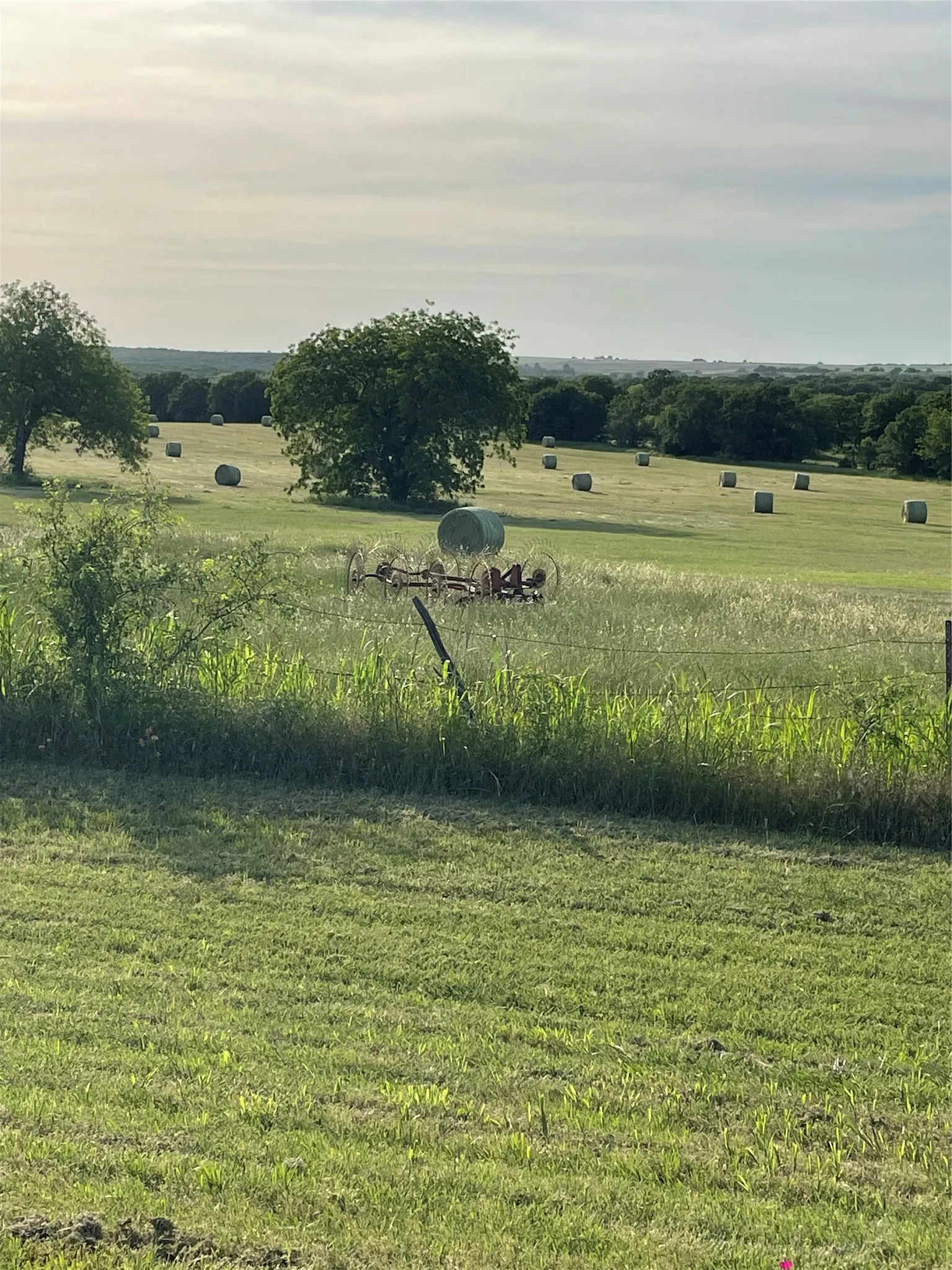 Farm For Sale in Montague County , 2886 TX-59 Highway S, Bowie, Texas 76230, 2 Bedroom, 2 Bathroom, Garage spaces, 1,276 Sqft, built in 1940, mls#21397280, Real Estate Agent in Bowie, Homes For Sale in Montague county, Homes For Sale in Bowie, Realtor in Bowie Texas, Real Estate Brokerage Independent Realty Texas, Luminita Cordes Realtor