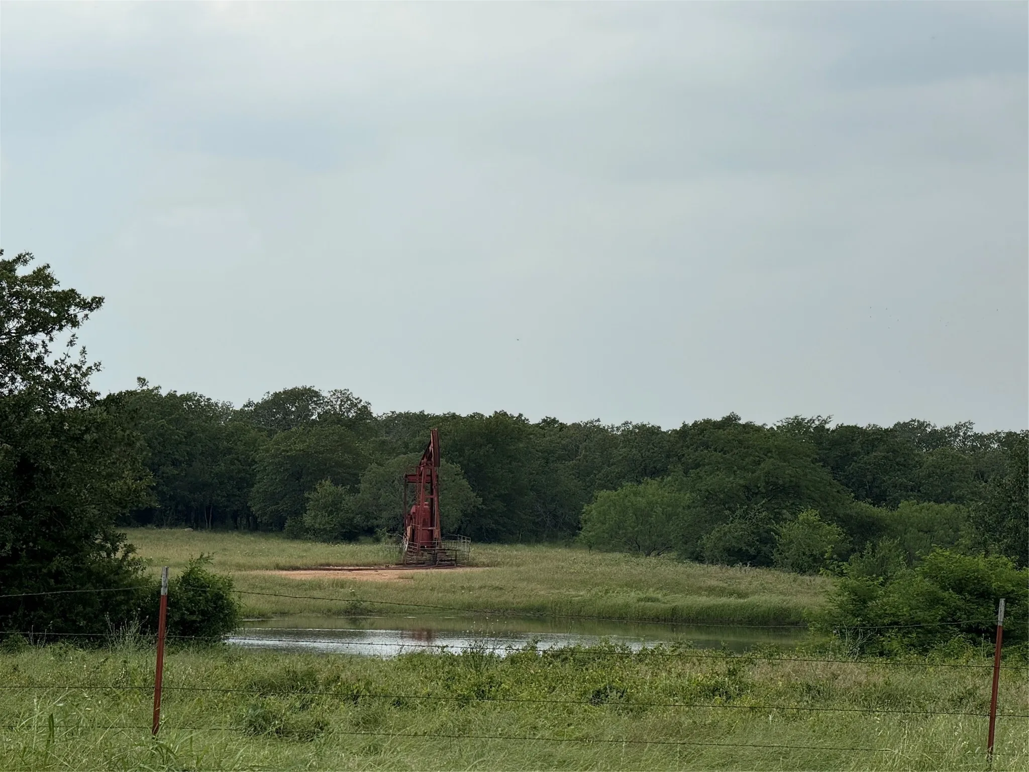 Livestock Tank