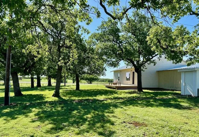 Pecan and Oak Trees