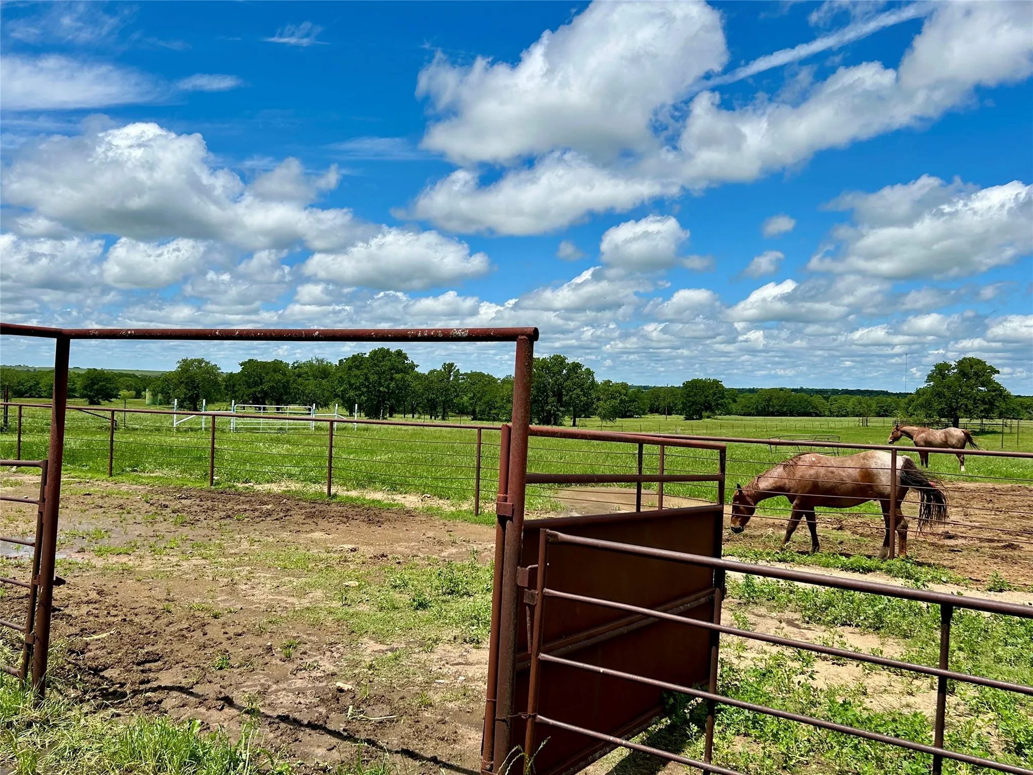 Farm For Sale in Montague County , 2886 TX-59 Highway S, Bowie, Texas 76230, 2 Bedroom, 2 Bathroom, Garage spaces, 1,276 Sqft, built in 1940, mls#21397280, Real Estate Agent in Bowie, Homes For Sale in Montague county, Homes For Sale in Bowie, Realtor in Bowie Texas, Real Estate Brokerage Independent Realty Texas, Luminita Cordes Realtor