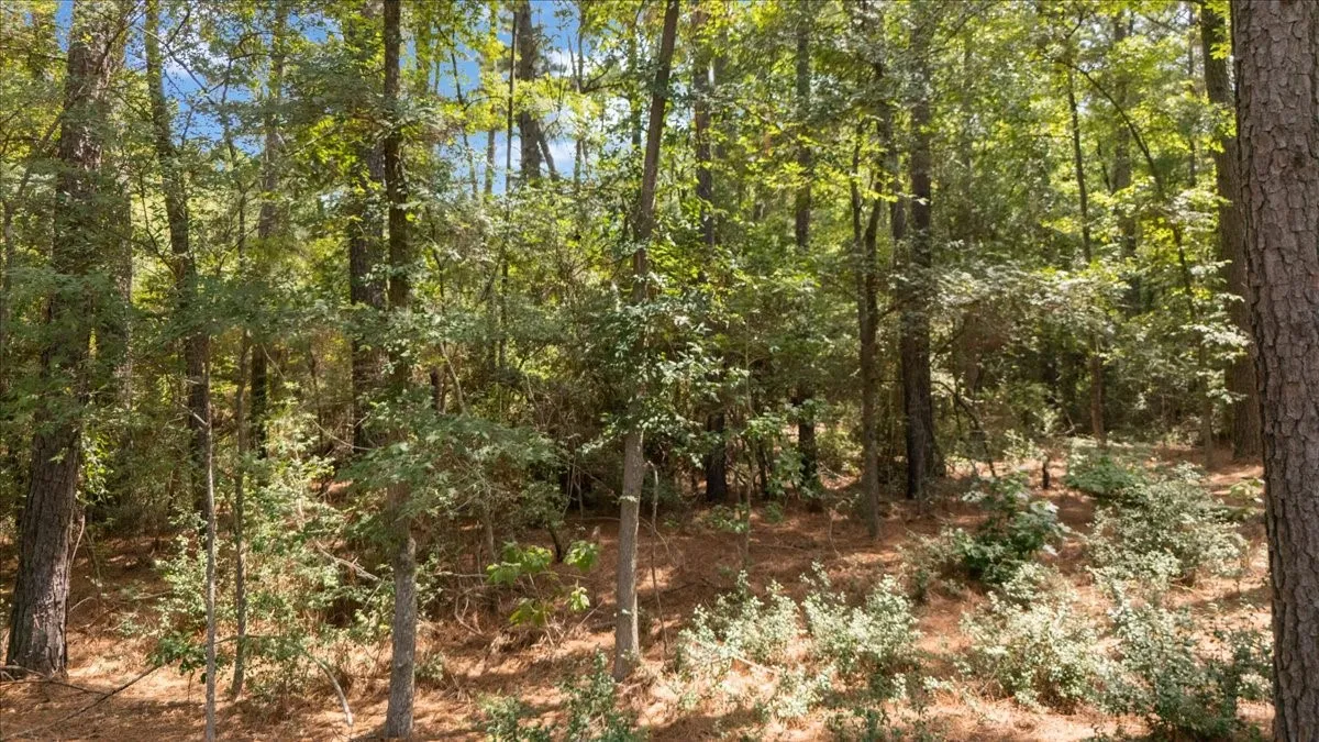 Unimproved Land For Sale in Upshur County , Tract 4 FM 1002, Big Sandy, Texas 75755, 0, 0, Garage spaces, 0 Sqft, built in 0, mls#21398642, Real Estate Agent in Big Sandy, Homes For Sale in Upshur county, Homes For Sale in Big Sandy, Realtor in Big Sandy Texas, Real Estate Brokerage Independent Realty Texas, Luminita Cordes Realtor