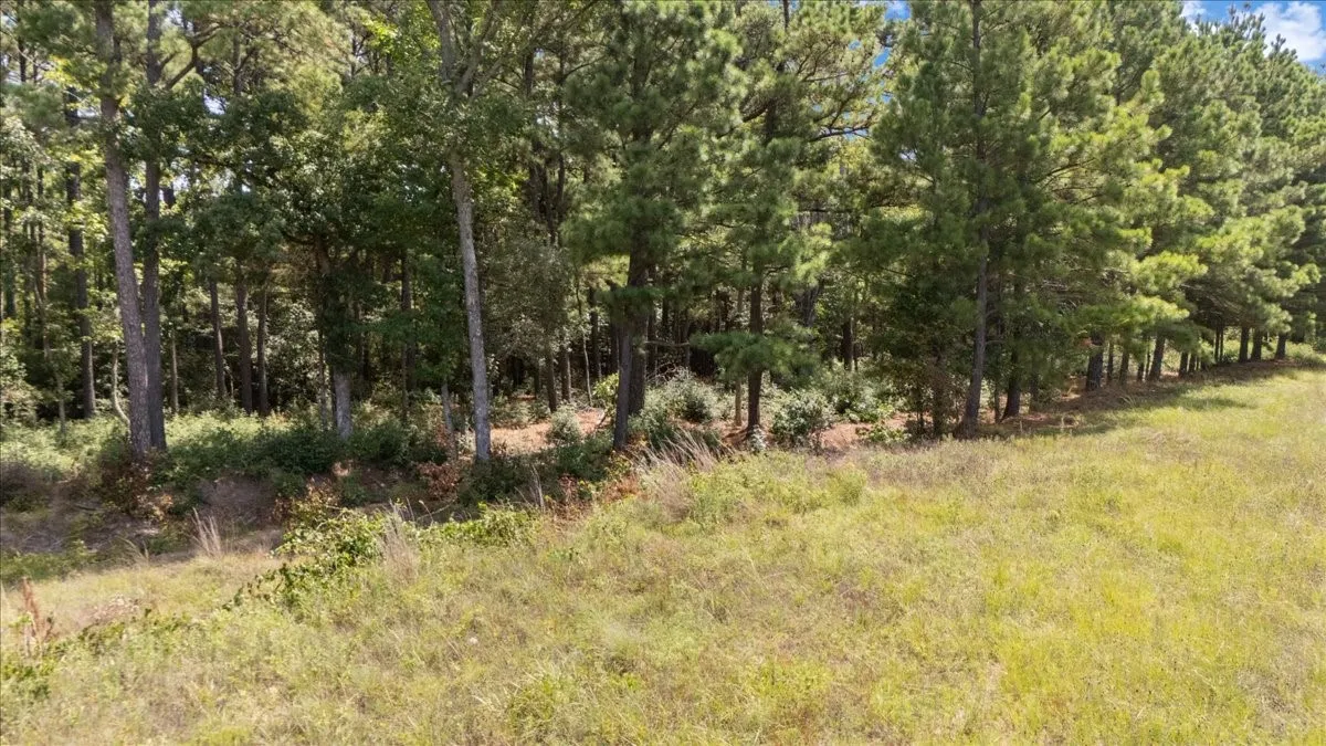 Unimproved Land For Sale in Upshur County , Tract 4 FM 1002, Big Sandy, Texas 75755, 0, 0, Garage spaces, 0 Sqft, built in 0, mls#21398642, Real Estate Agent in Big Sandy, Homes For Sale in Upshur county, Homes For Sale in Big Sandy, Realtor in Big Sandy Texas, Real Estate Brokerage Independent Realty Texas, Luminita Cordes Realtor