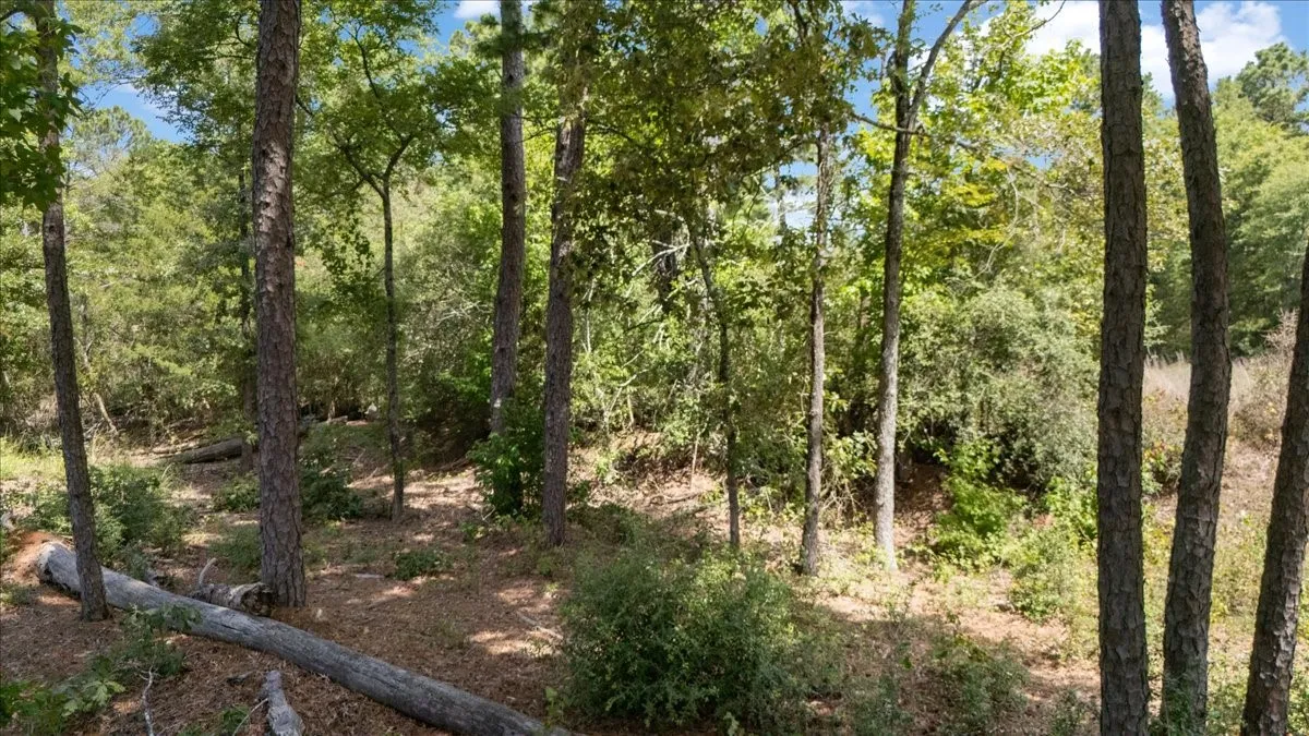 Unimproved Land For Sale in Upshur County , Tract 4 FM 1002, Big Sandy, Texas 75755, 0, 0, Garage spaces, 0 Sqft, built in 0, mls#21398642, Real Estate Agent in Big Sandy, Homes For Sale in Upshur county, Homes For Sale in Big Sandy, Realtor in Big Sandy Texas, Real Estate Brokerage Independent Realty Texas, Luminita Cordes Realtor