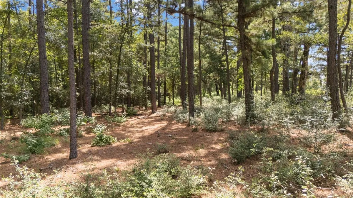 Unimproved Land For Sale in Upshur County , Tract 4 FM 1002, Big Sandy, Texas 75755, 0, 0, Garage spaces, 0 Sqft, built in 0, mls#21398642, Real Estate Agent in Big Sandy, Homes For Sale in Upshur county, Homes For Sale in Big Sandy, Realtor in Big Sandy Texas, Real Estate Brokerage Independent Realty Texas, Luminita Cordes Realtor