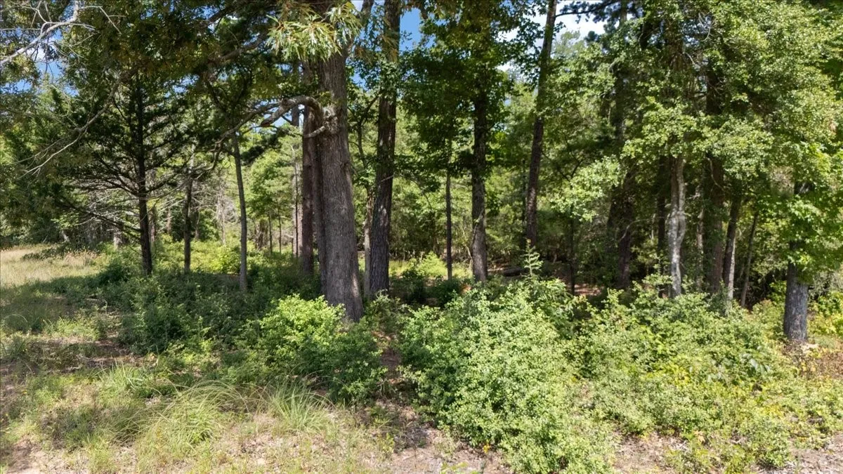Unimproved Land For Sale in Upshur County , Tract 4 FM 1002, Big Sandy, Texas 75755, 0, 0, Garage spaces, 0 Sqft, built in 0, mls#21398642, Real Estate Agent in Big Sandy, Homes For Sale in Upshur county, Homes For Sale in Big Sandy, Realtor in Big Sandy Texas, Real Estate Brokerage Independent Realty Texas, Luminita Cordes Realtor