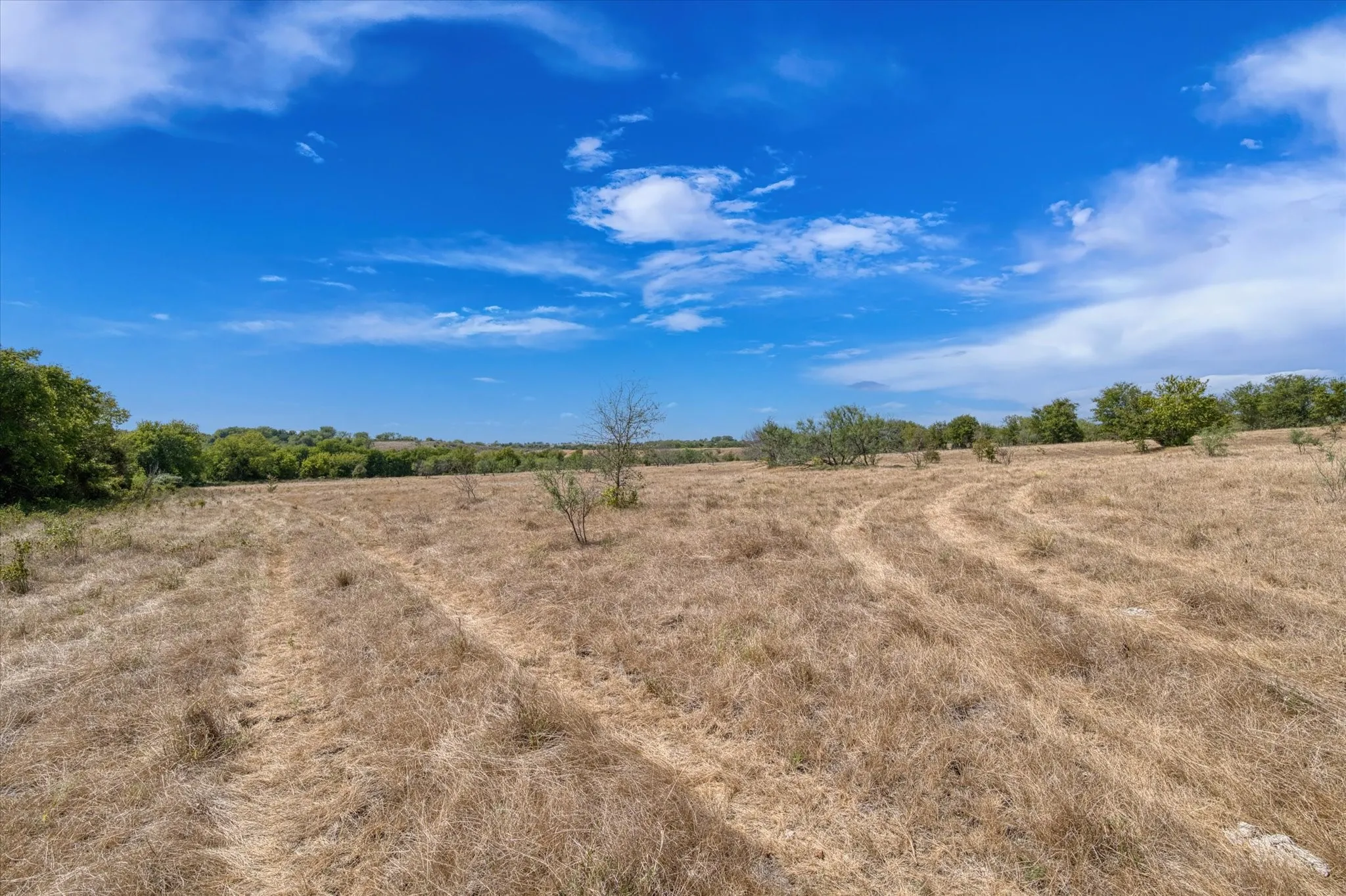 Expansive open land featuring mature trees and a clear blue sky overhead