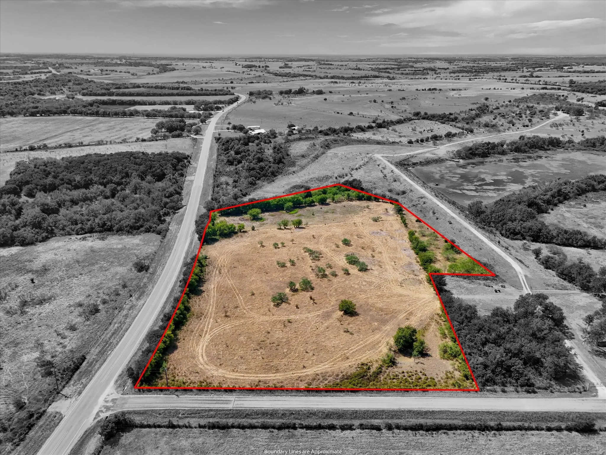 Expansive undeveloped land featuring mature trees and a perimeter marked by a red boundary