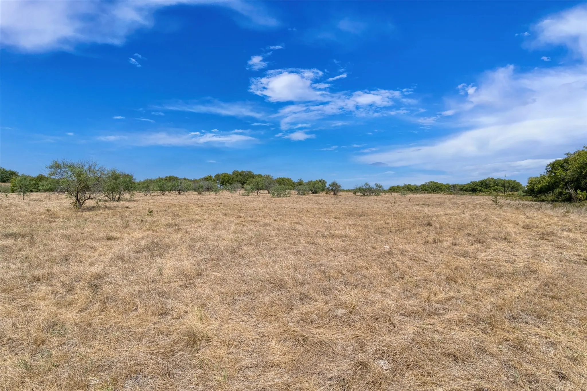 Expansive open acreage featuring natural ground cover and scattered mature trees