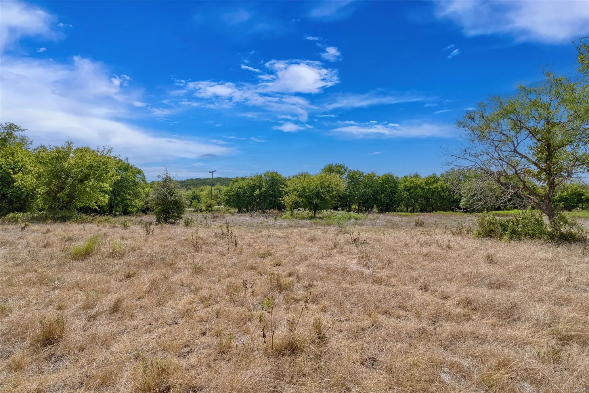 Expansive undeveloped land featuring mature trees and a clear sky