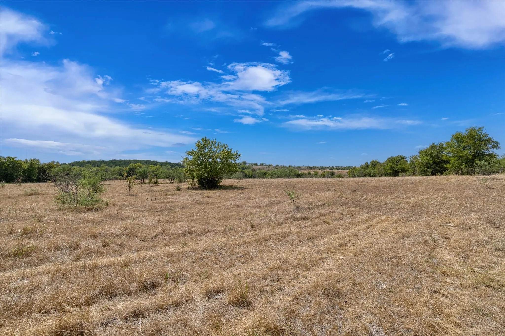 Expansive open land featuring natural terrain and distant tree lines