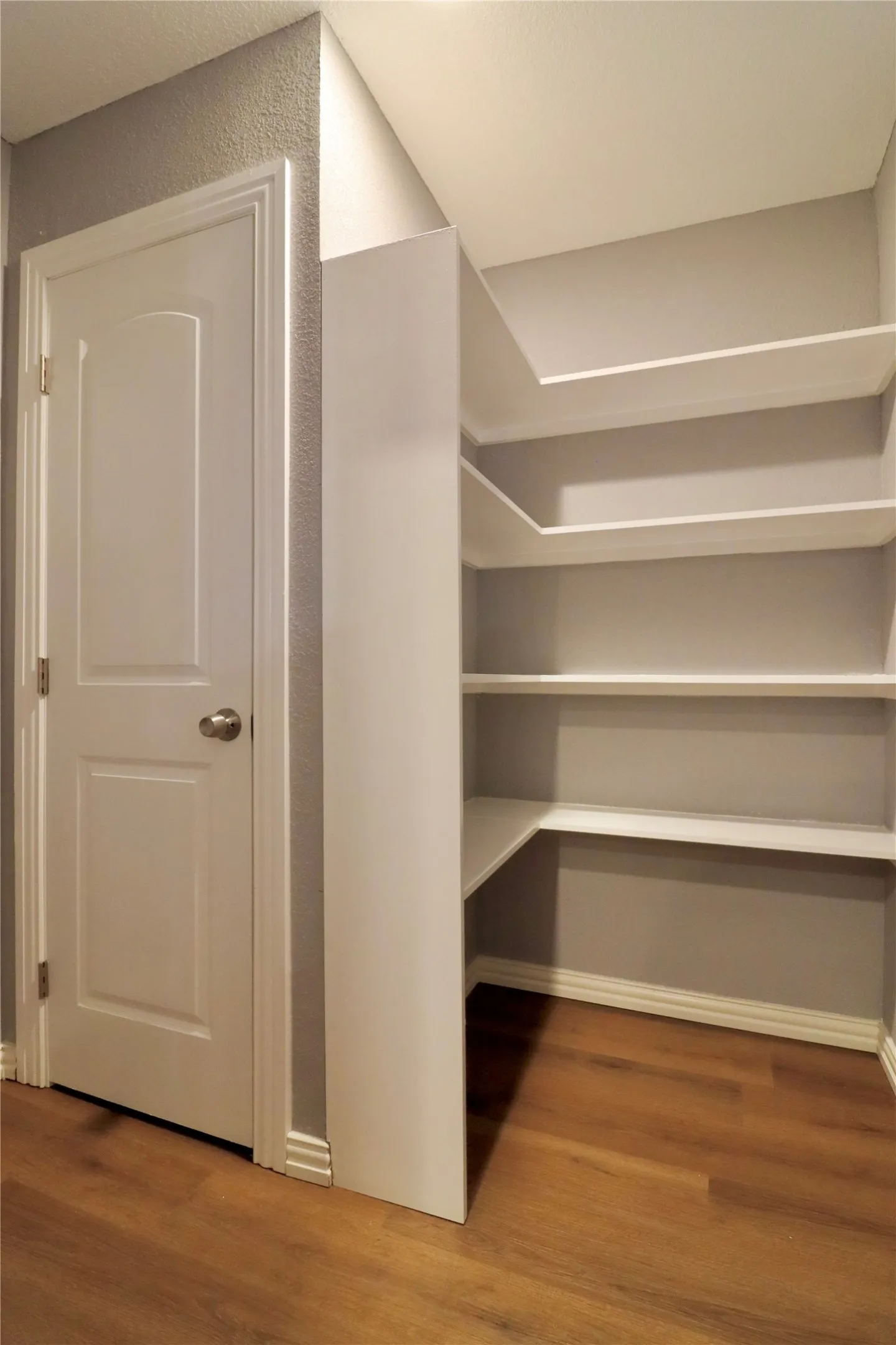 Built-in shelving with wood-finish flooring and a paneled interior door