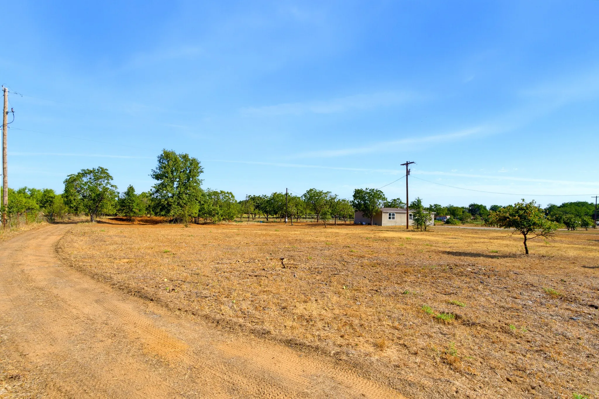 Part of the old Clyde Pecan Orchard