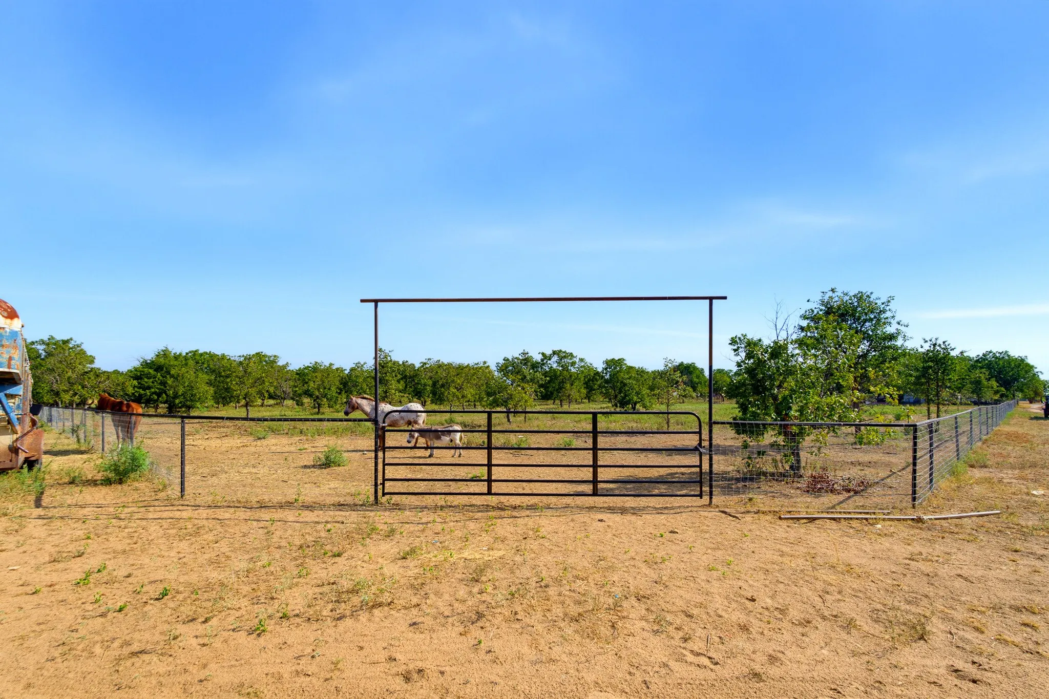 Livestock pasture