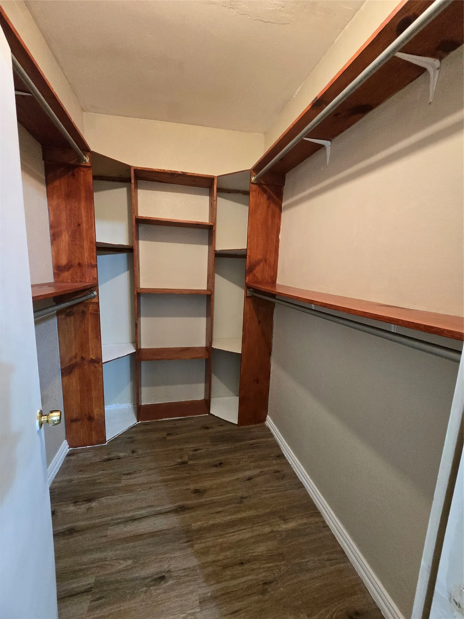 Spacious closet with dark wood-type flooring