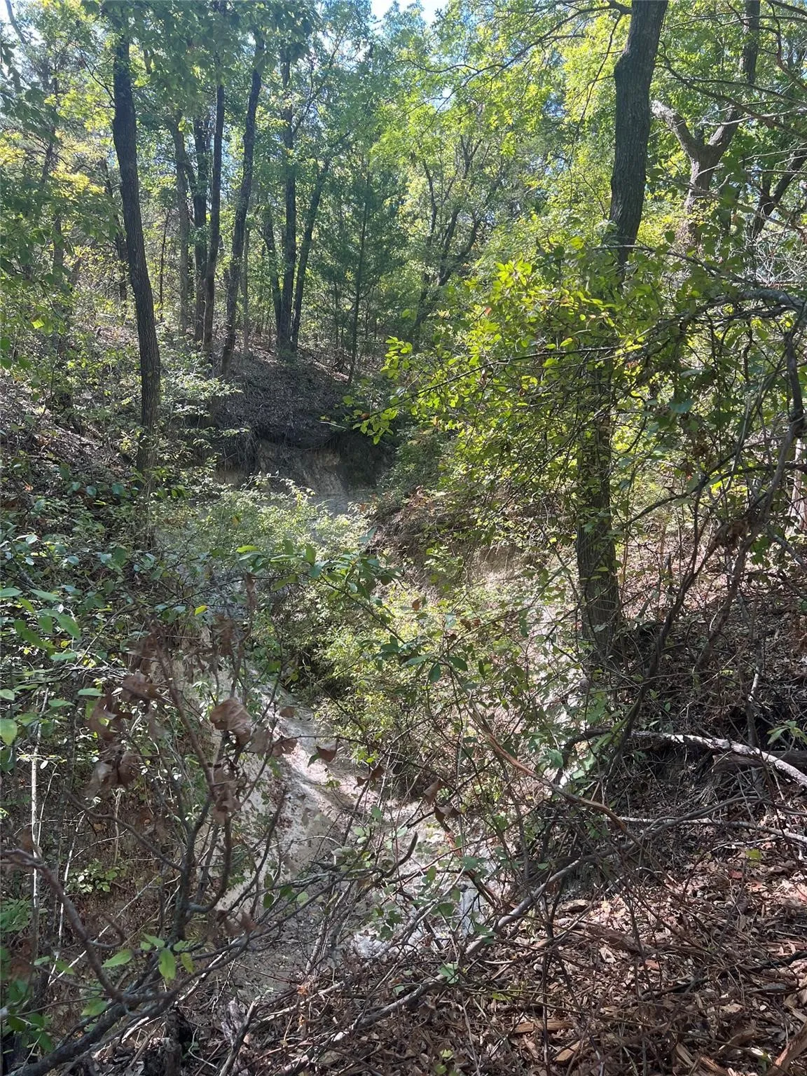 Unimproved Land For Sale in Grayson County , TBD1 Rochelle Cannon Road, Whitewright, Texas 75491, 0, 0, Garage spaces, 0 Sqft, built in 0, mls#21398700, Real Estate Agent in Whitewright, Homes For Sale in Grayson county, Homes For Sale in Whitewright, Realtor in Whitewright Texas, Real Estate Brokerage Independent Realty Texas, Luminita Cordes Realtor