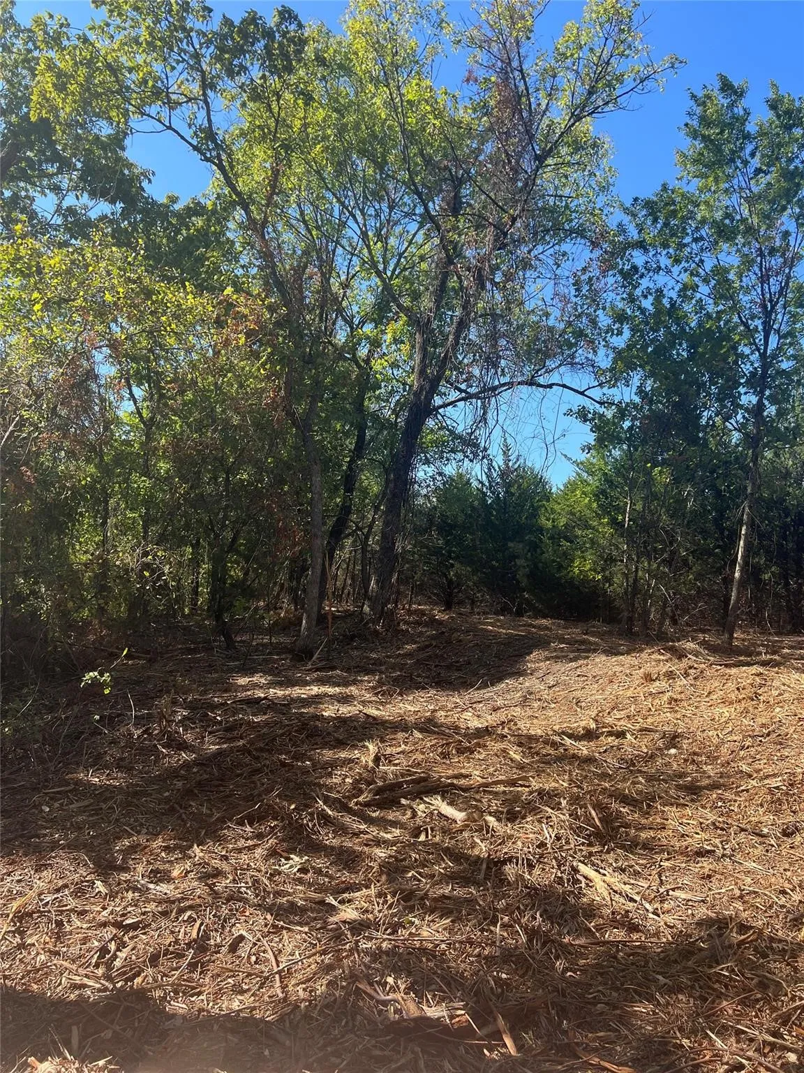 Unimproved Land For Sale in Grayson County , TBD1 Rochelle Cannon Road, Whitewright, Texas 75491, 0, 0, Garage spaces, 0 Sqft, built in 0, mls#21398700, Real Estate Agent in Whitewright, Homes For Sale in Grayson county, Homes For Sale in Whitewright, Realtor in Whitewright Texas, Real Estate Brokerage Independent Realty Texas, Luminita Cordes Realtor