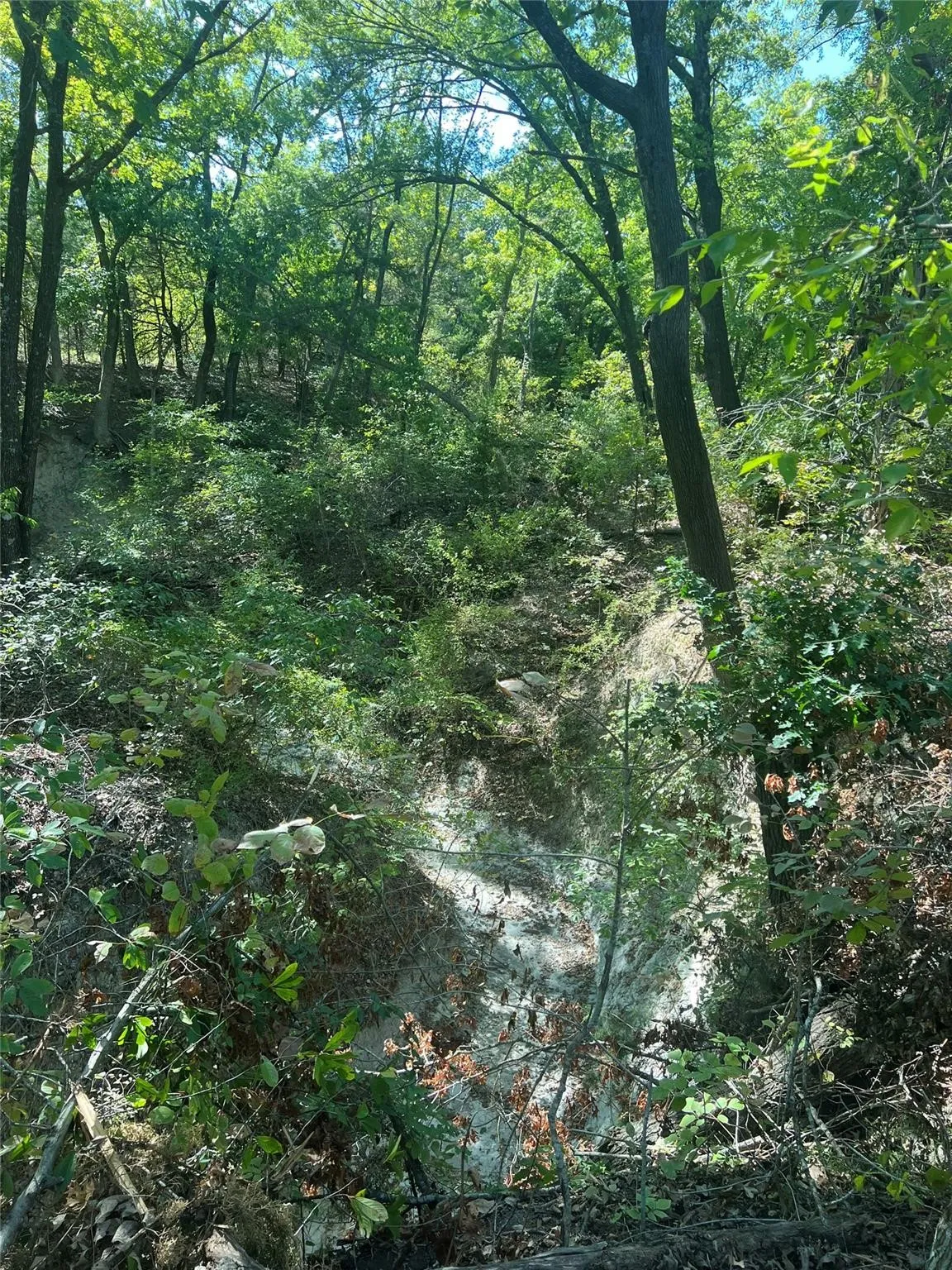 Unimproved Land For Sale in Grayson County , TBD1 Rochelle Cannon Road, Whitewright, Texas 75491, 0, 0, Garage spaces, 0 Sqft, built in 0, mls#21398700, Real Estate Agent in Whitewright, Homes For Sale in Grayson county, Homes For Sale in Whitewright, Realtor in Whitewright Texas, Real Estate Brokerage Independent Realty Texas, Luminita Cordes Realtor
