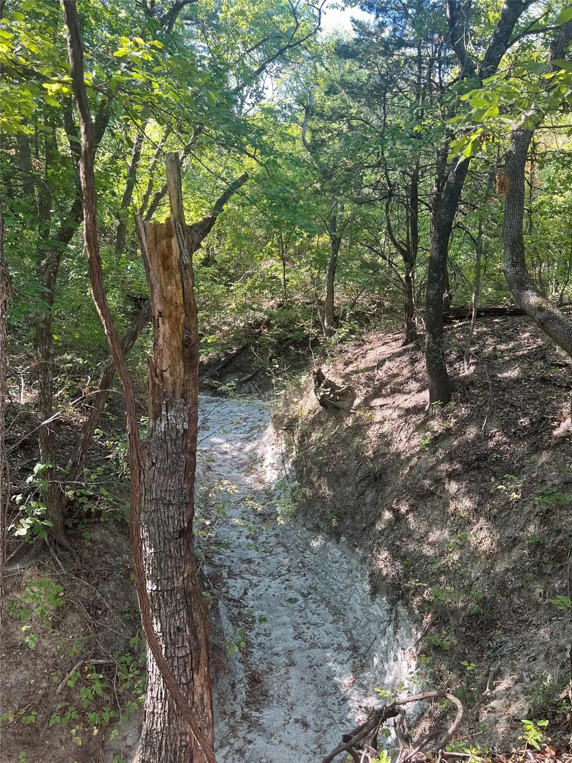Unimproved Land For Sale in Grayson County , TBD1 Rochelle Cannon Road, Whitewright, Texas 75491, 0, 0, Garage spaces, 0 Sqft, built in 0, mls#21398700, Real Estate Agent in Whitewright, Homes For Sale in Grayson county, Homes For Sale in Whitewright, Realtor in Whitewright Texas, Real Estate Brokerage Independent Realty Texas, Luminita Cordes Realtor