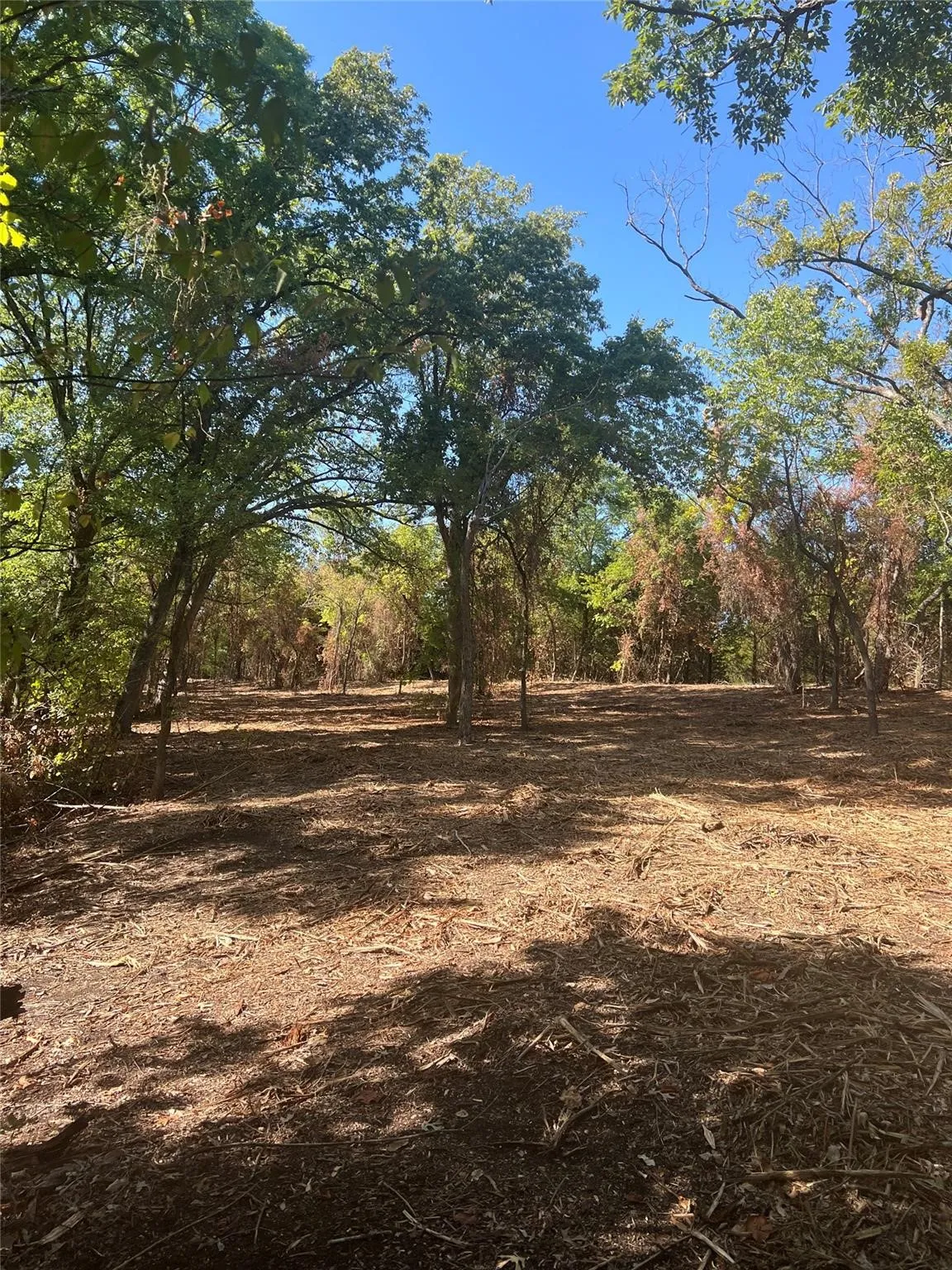 Unimproved Land For Sale in Grayson County , TBD1 Rochelle Cannon Road, Whitewright, Texas 75491, 0, 0, Garage spaces, 0 Sqft, built in 0, mls#21398700, Real Estate Agent in Whitewright, Homes For Sale in Grayson county, Homes For Sale in Whitewright, Realtor in Whitewright Texas, Real Estate Brokerage Independent Realty Texas, Luminita Cordes Realtor