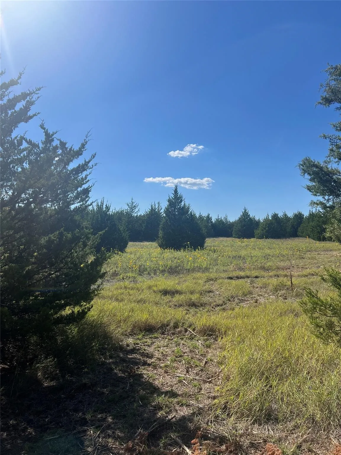 Unimproved Land For Sale in Grayson County , TBD1 Rochelle Cannon Road, Whitewright, Texas 75491, 0, 0, Garage spaces, 0 Sqft, built in 0, mls#21398700, Real Estate Agent in Whitewright, Homes For Sale in Grayson county, Homes For Sale in Whitewright, Realtor in Whitewright Texas, Real Estate Brokerage Independent Realty Texas, Luminita Cordes Realtor