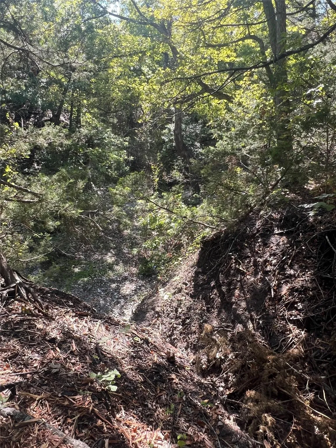 Unimproved Land For Sale in Grayson County , TBD1 Rochelle Cannon Road, Whitewright, Texas 75491, 0, 0, Garage spaces, 0 Sqft, built in 0, mls#21398700, Real Estate Agent in Whitewright, Homes For Sale in Grayson county, Homes For Sale in Whitewright, Realtor in Whitewright Texas, Real Estate Brokerage Independent Realty Texas, Luminita Cordes Realtor