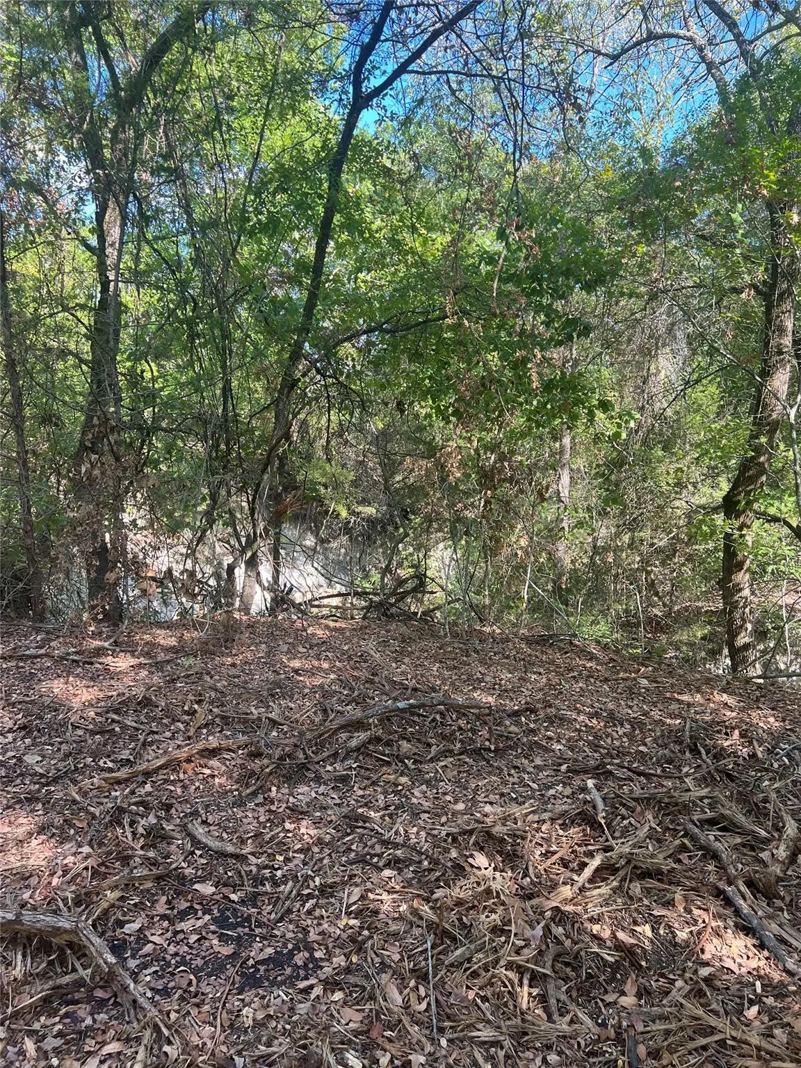 Unimproved Land For Sale in Grayson County , TBD1 Rochelle Cannon Road, Whitewright, Texas 75491, 0, 0, Garage spaces, 0 Sqft, built in 0, mls#21398700, Real Estate Agent in Whitewright, Homes For Sale in Grayson county, Homes For Sale in Whitewright, Realtor in Whitewright Texas, Real Estate Brokerage Independent Realty Texas, Luminita Cordes Realtor