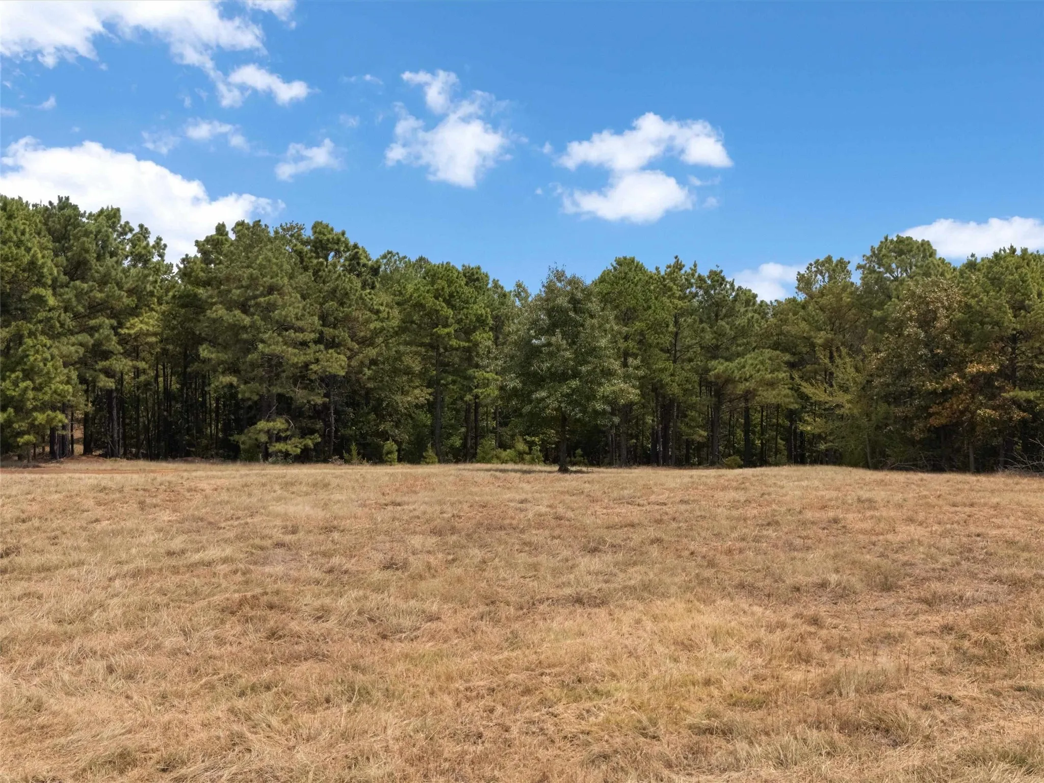 Ranch For Sale in Upshur County , TBD Silk Tree Road, Gilmer, Texas 75645, 0, 0, Garage spaces, 0 Sqft, built in 0, mls#21398712, Real Estate Agent in Gilmer, Homes For Sale in Upshur county, Homes For Sale in Gilmer, Realtor in Gilmer Texas, Real Estate Brokerage Independent Realty Texas, Luminita Cordes Realtor