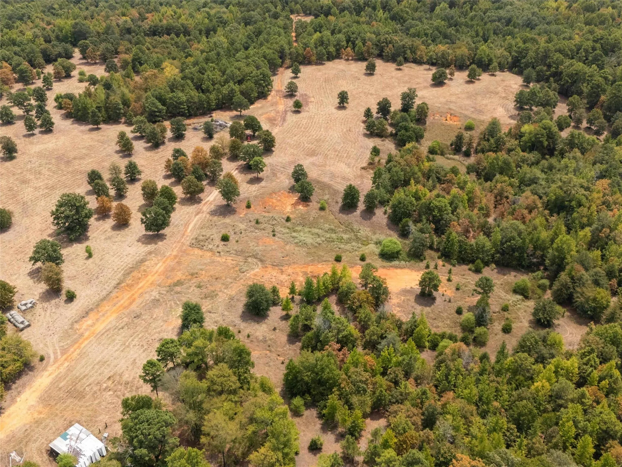 Ranch For Sale in Upshur County , TBD Silk Tree Road, Gilmer, Texas 75645, 0, 0, Garage spaces, 0 Sqft, built in 0, mls#21398712, Real Estate Agent in Gilmer, Homes For Sale in Upshur county, Homes For Sale in Gilmer, Realtor in Gilmer Texas, Real Estate Brokerage Independent Realty Texas, Luminita Cordes Realtor