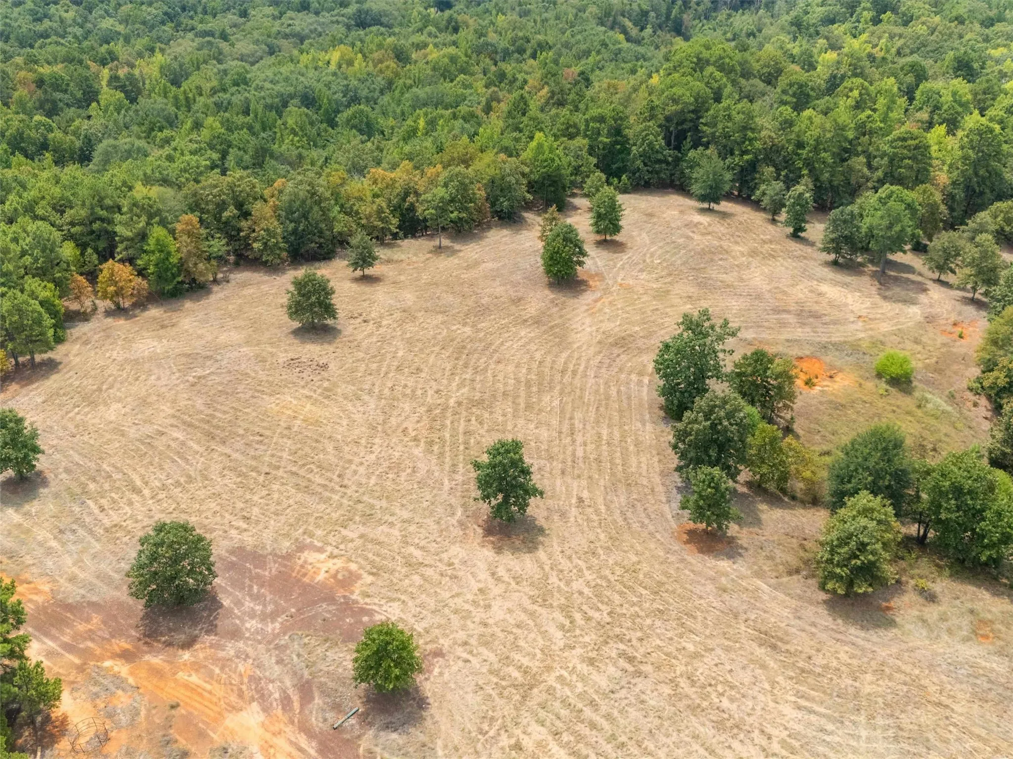 Ranch For Sale in Upshur County , TBD Silk Tree Road, Gilmer, Texas 75645, 0, 0, Garage spaces, 0 Sqft, built in 0, mls#21398712, Real Estate Agent in Gilmer, Homes For Sale in Upshur county, Homes For Sale in Gilmer, Realtor in Gilmer Texas, Real Estate Brokerage Independent Realty Texas, Luminita Cordes Realtor