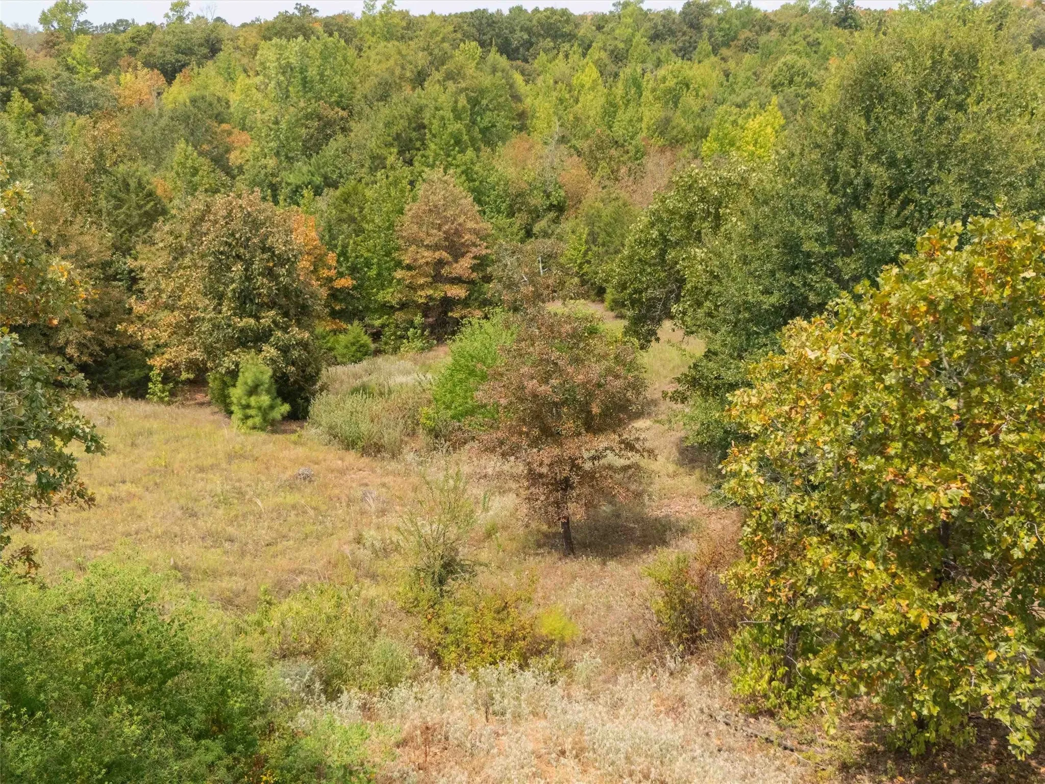 Ranch For Sale in Upshur County , TBD Silk Tree Road, Gilmer, Texas 75645, 0, 0, Garage spaces, 0 Sqft, built in 0, mls#21398712, Real Estate Agent in Gilmer, Homes For Sale in Upshur county, Homes For Sale in Gilmer, Realtor in Gilmer Texas, Real Estate Brokerage Independent Realty Texas, Luminita Cordes Realtor