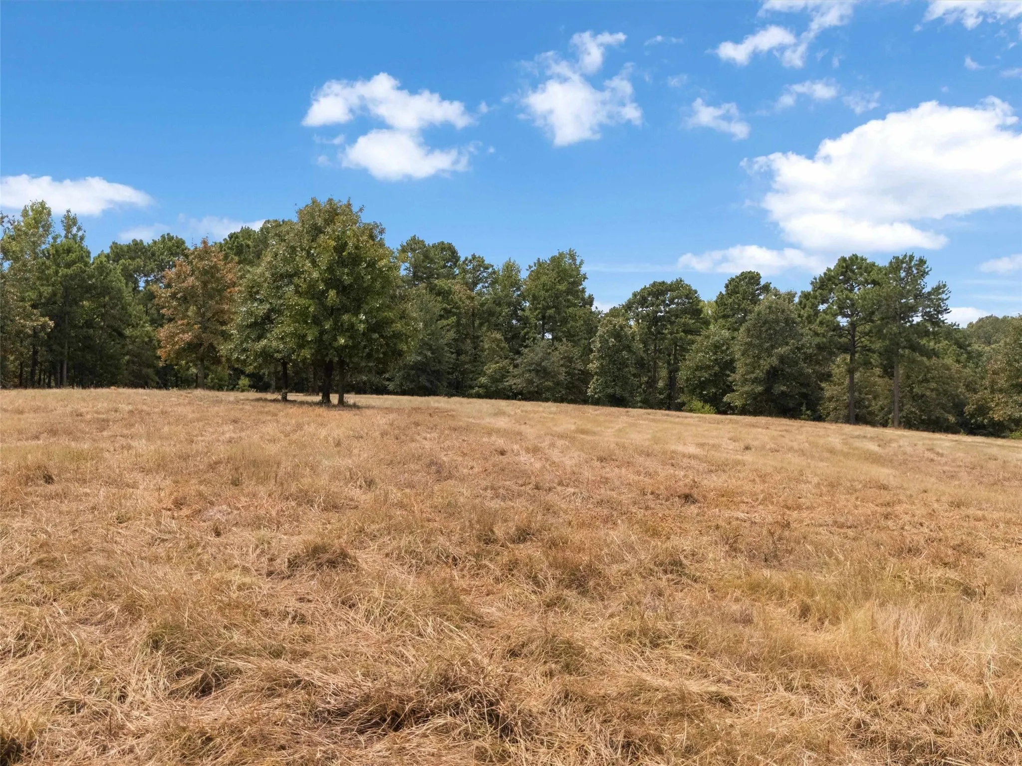 Ranch For Sale in Upshur County , TBD Silk Tree Road, Gilmer, Texas 75645, 0, 0, Garage spaces, 0 Sqft, built in 0, mls#21398712, Real Estate Agent in Gilmer, Homes For Sale in Upshur county, Homes For Sale in Gilmer, Realtor in Gilmer Texas, Real Estate Brokerage Independent Realty Texas, Luminita Cordes Realtor