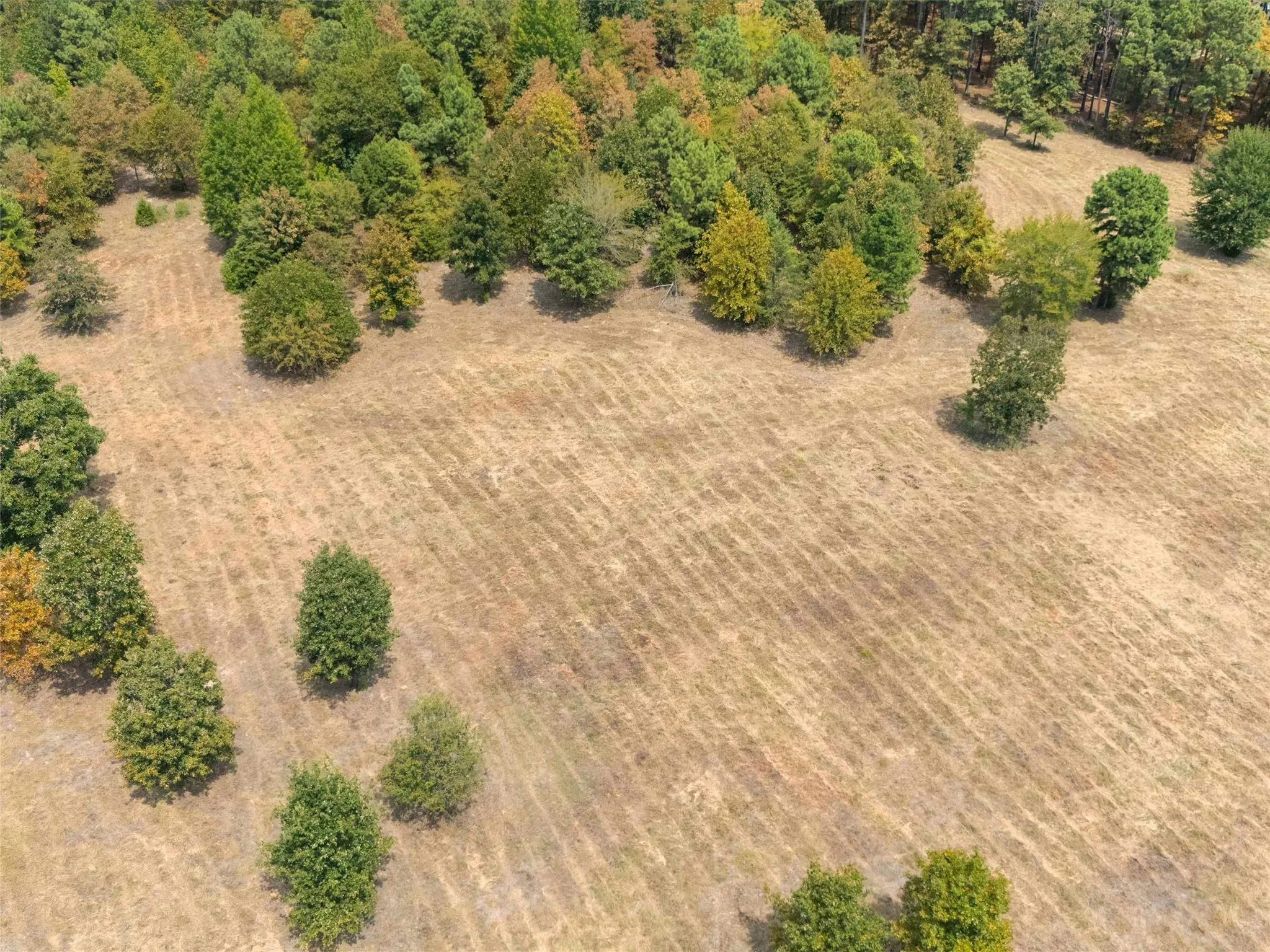 Ranch For Sale in Upshur County , TBD Silk Tree Road, Gilmer, Texas 75645, 0, 0, Garage spaces, 0 Sqft, built in 0, mls#21398712, Real Estate Agent in Gilmer, Homes For Sale in Upshur county, Homes For Sale in Gilmer, Realtor in Gilmer Texas, Real Estate Brokerage Independent Realty Texas, Luminita Cordes Realtor