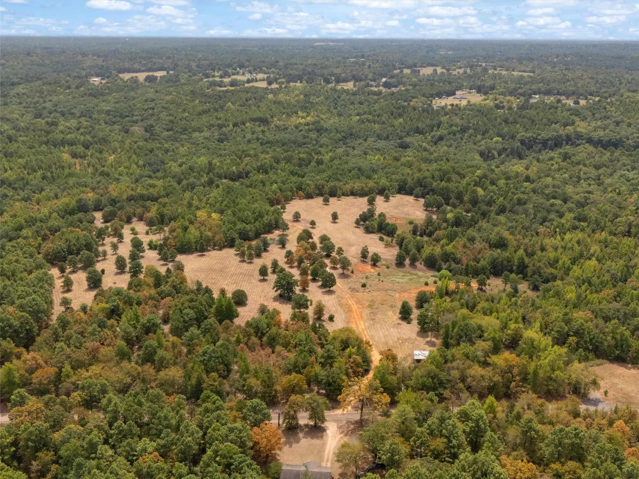 Ranch For Sale in Upshur County , TBD Silk Tree Road, Gilmer, Texas 75645, 0, 0, Garage spaces, 0 Sqft, built in 0, mls#21398712, Real Estate Agent in Gilmer, Homes For Sale in Upshur county, Homes For Sale in Gilmer, Realtor in Gilmer Texas, Real Estate Brokerage Independent Realty Texas, Luminita Cordes Realtor