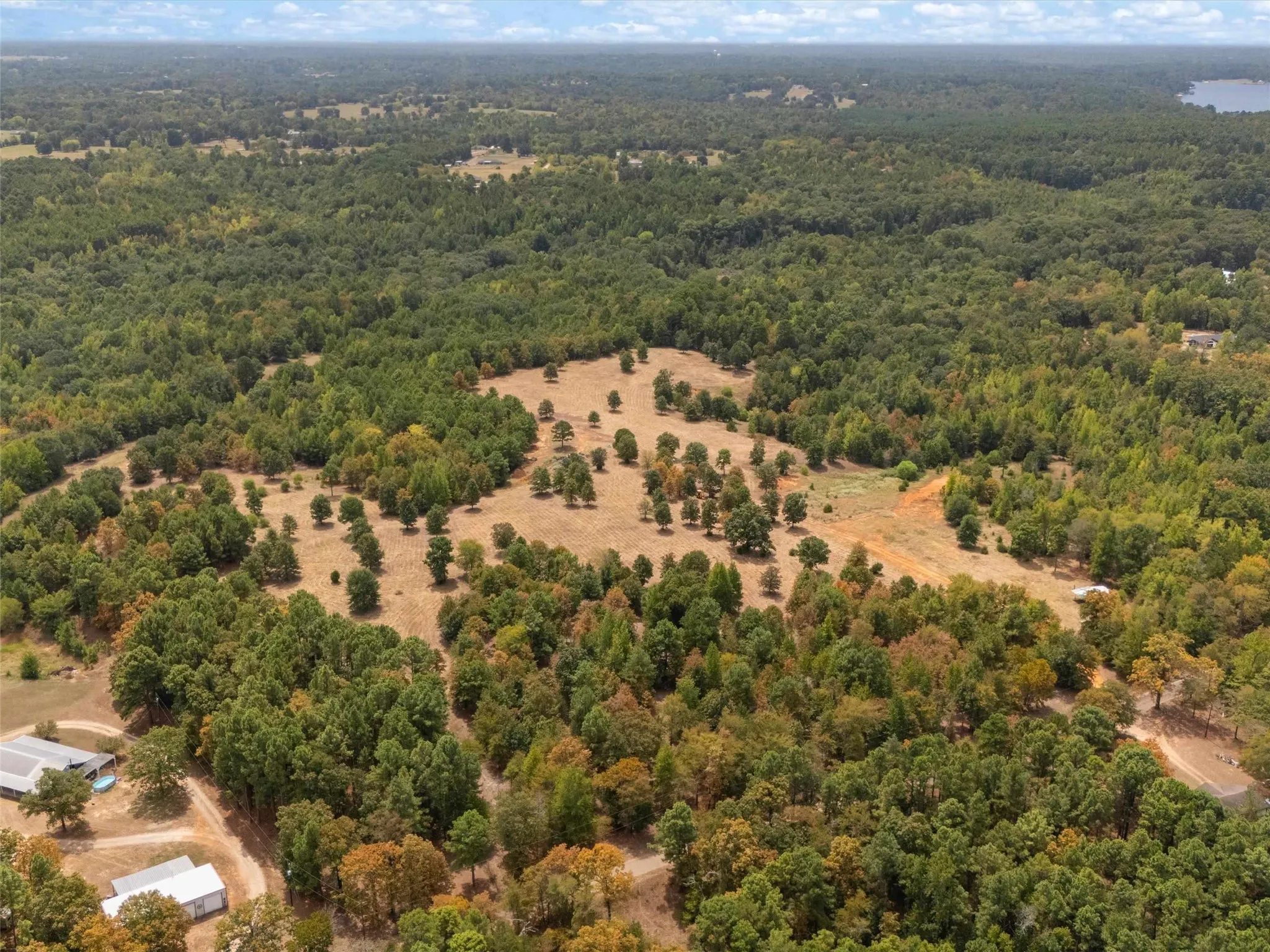 Ranch For Sale in Upshur County , TBD Silk Tree Road, Gilmer, Texas 75645, 0, 0, Garage spaces, 0 Sqft, built in 0, mls#21398712, Real Estate Agent in Gilmer, Homes For Sale in Upshur county, Homes For Sale in Gilmer, Realtor in Gilmer Texas, Real Estate Brokerage Independent Realty Texas, Luminita Cordes Realtor