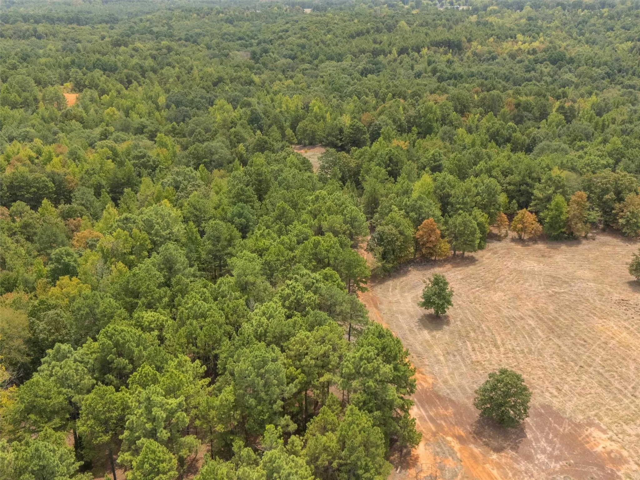 Ranch For Sale in Upshur County , TBD Silk Tree Road, Gilmer, Texas 75645, 0, 0, Garage spaces, 0 Sqft, built in 0, mls#21398712, Real Estate Agent in Gilmer, Homes For Sale in Upshur county, Homes For Sale in Gilmer, Realtor in Gilmer Texas, Real Estate Brokerage Independent Realty Texas, Luminita Cordes Realtor