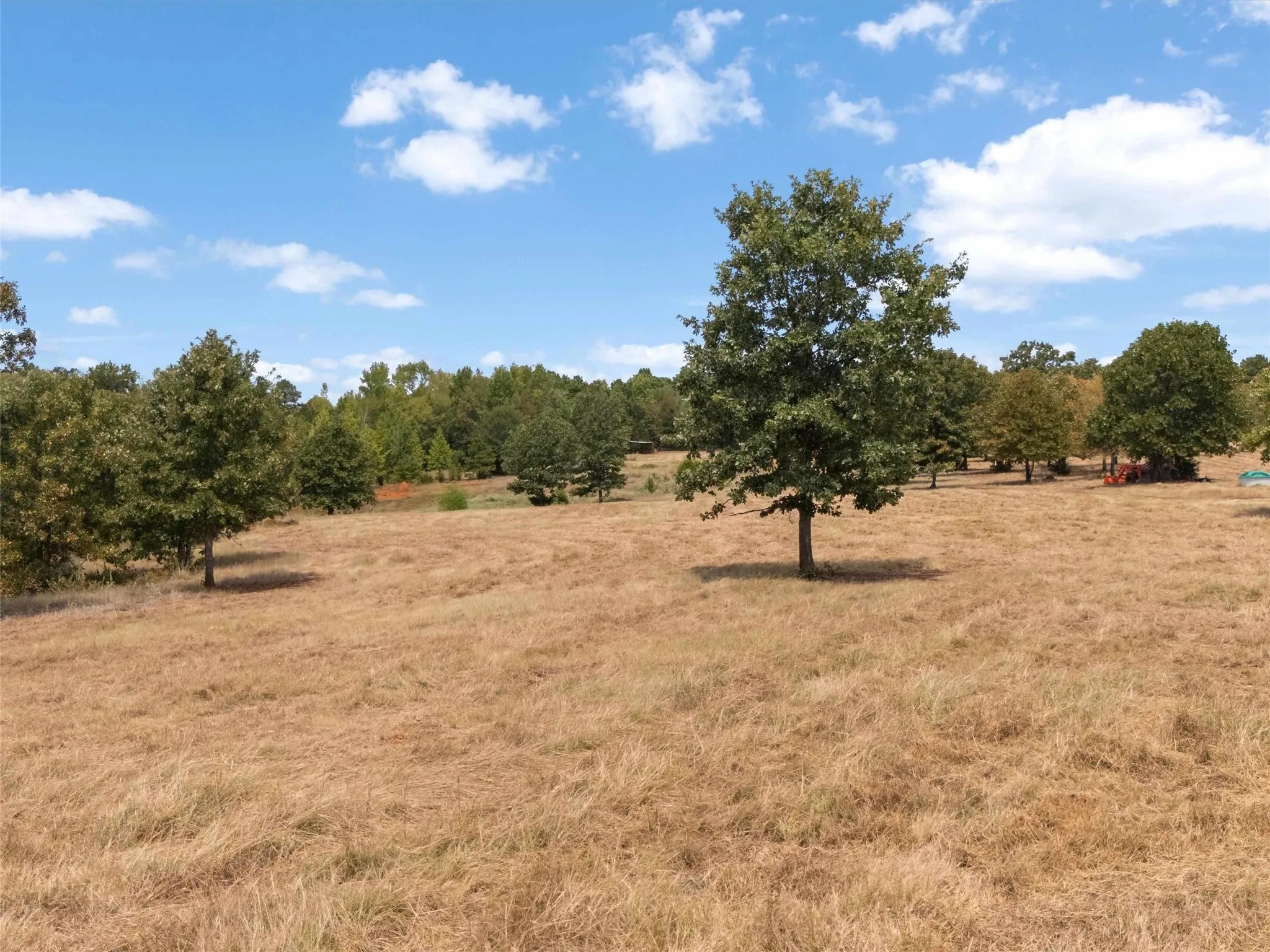 Ranch For Sale in Upshur County , TBD Silk Tree Road, Gilmer, Texas 75645, 0, 0, Garage spaces, 0 Sqft, built in 0, mls#21398712, Real Estate Agent in Gilmer, Homes For Sale in Upshur county, Homes For Sale in Gilmer, Realtor in Gilmer Texas, Real Estate Brokerage Independent Realty Texas, Luminita Cordes Realtor