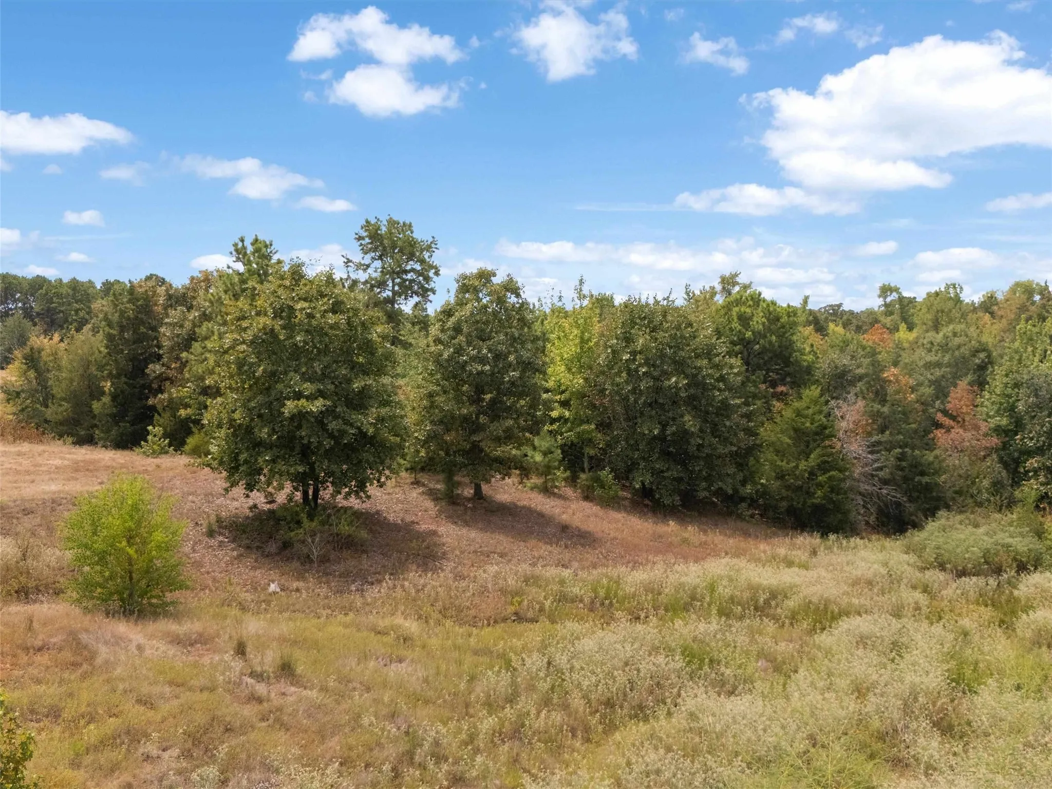 Ranch For Sale in Upshur County , TBD Silk Tree Road, Gilmer, Texas 75645, 0, 0, Garage spaces, 0 Sqft, built in 0, mls#21398712, Real Estate Agent in Gilmer, Homes For Sale in Upshur county, Homes For Sale in Gilmer, Realtor in Gilmer Texas, Real Estate Brokerage Independent Realty Texas, Luminita Cordes Realtor