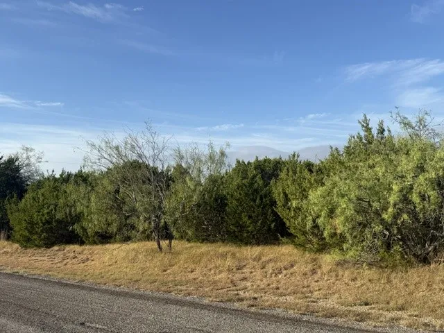 Unimproved Land For Sale in Hill County , 1761 Highland Drive, Whitney, Texas 76692, 0, 0, Garage spaces, 0 Sqft, built in 0, mls#21398646, Real Estate Agent in Whitney, Homes For Sale in Hill county, Homes For Sale in Whitney, Realtor in Whitney Texas, Real Estate Brokerage Independent Realty Texas, Luminita Cordes Realtor